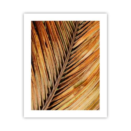 Plakat - Kokosnød guld - 40x50 cm