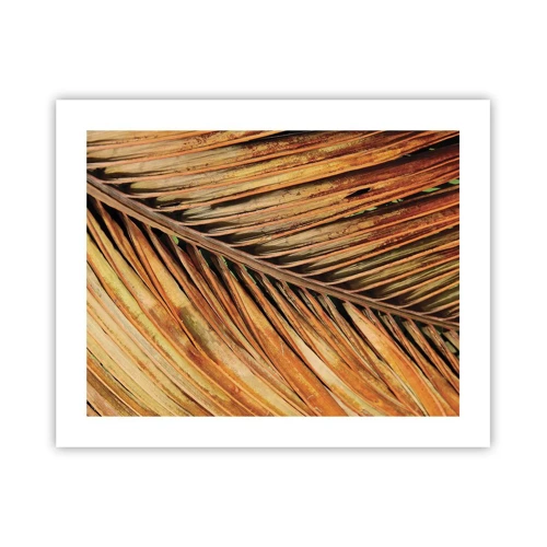 Plakat - Kokosnød guld - 50x40 cm