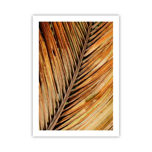 Plakat - Kokosnød guld - 50x70 cm