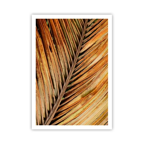 Plakat - Kokosnød guld - 70x100 cm