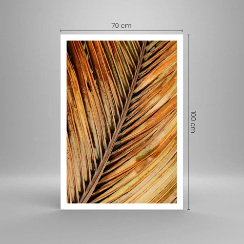 Plakat - Kokosnød guld - 70x100 cm