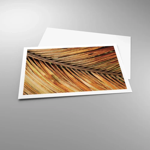 Plakat - Kokosnød guld - 91x61 cm