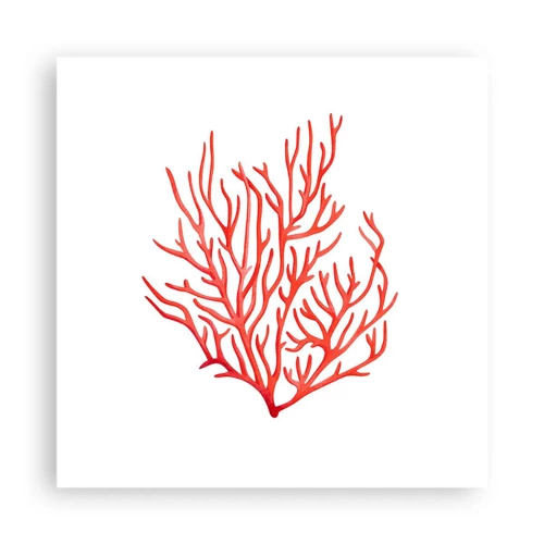 Plakat - Koral-filigran - 40x40 cm