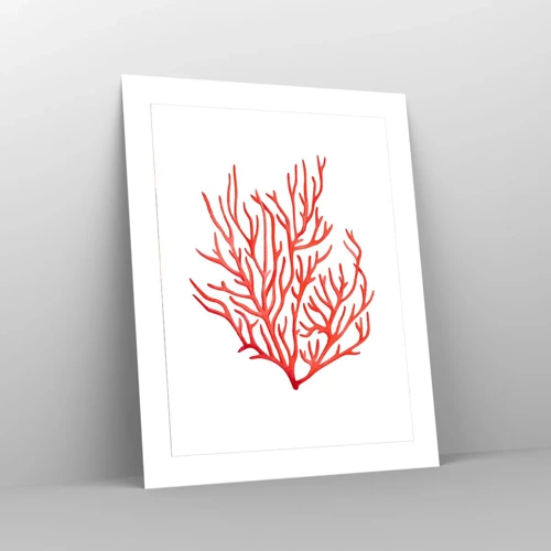 Plakat - Koral-filigran - 40x50 cm