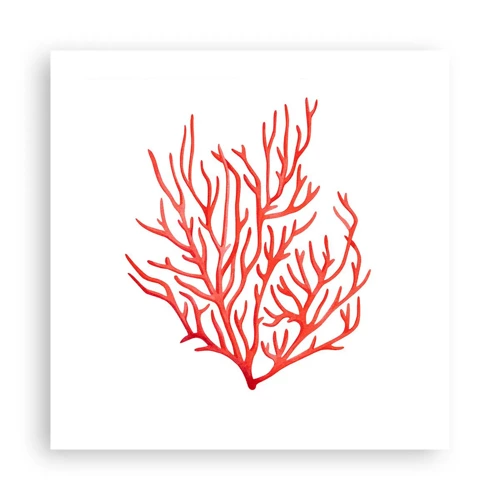 Plakat - Koral-filigran - 50x50 cm