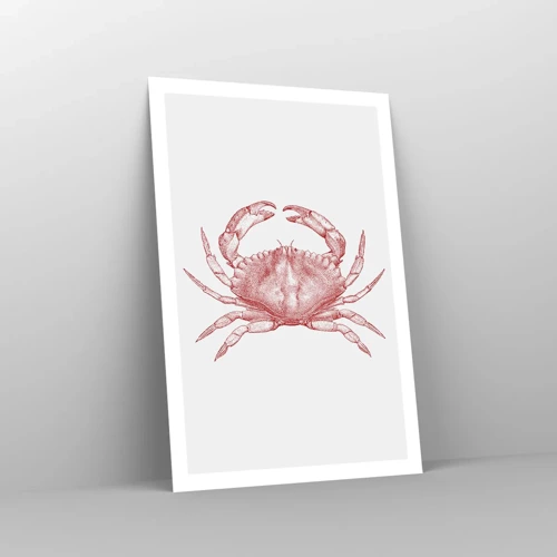 Plakat - Krabbe over krabber - 61x91 cm