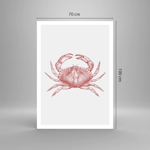 Plakat - Krabbe over krabber - 70x100 cm