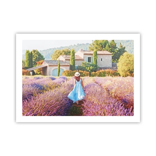 Plakat - Lavendel pige - 70x50 cm