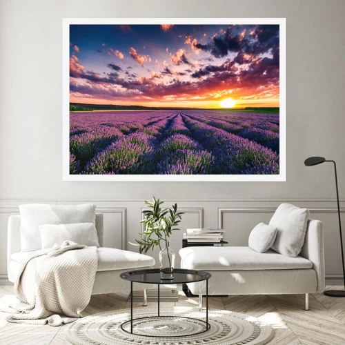 Plakat - Lavendelverden - 100x70 cm