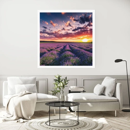 Plakat - Lavendelverden - 50x50 cm
