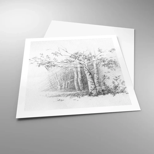 Plakat - Lyset fra birkeskoven - 60x60 cm
