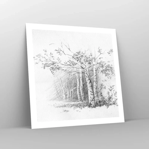 Plakat - Lyset fra birkeskoven - 60x60 cm
