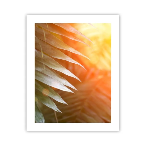 Plakat - Morgen i junglen - 40x50 cm