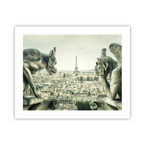 Plakat - Parisisk chat - 50x40 cm