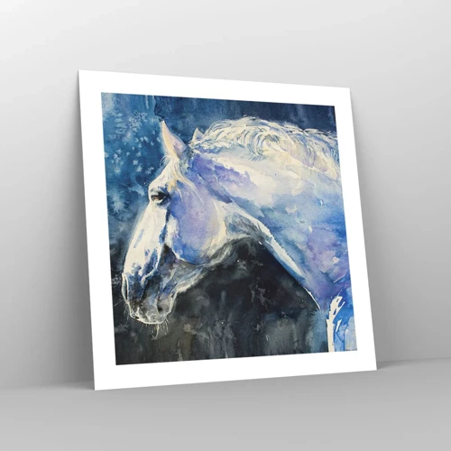Plakat - Portræt i et blåt skær - 50x50 cm