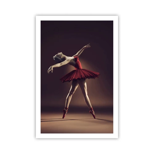 Plakat - Prima ballerina - 61x91 cm
