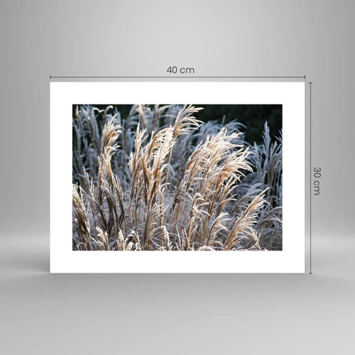 Plakat - Pyntet med frost - 40x30 cm