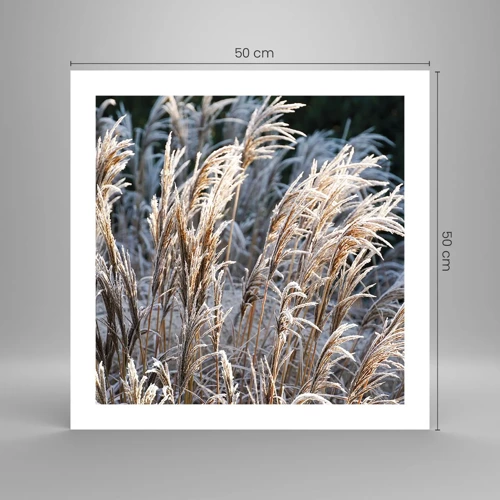 Plakat - Pyntet med frost - 50x50 cm