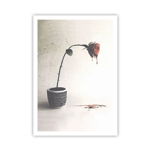 Plakat - Rosa dolorosa - 70x100 cm