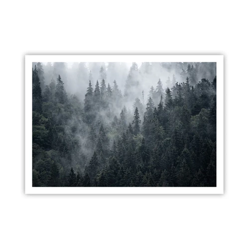 Plakat - Skovens daggry - 100x70 cm