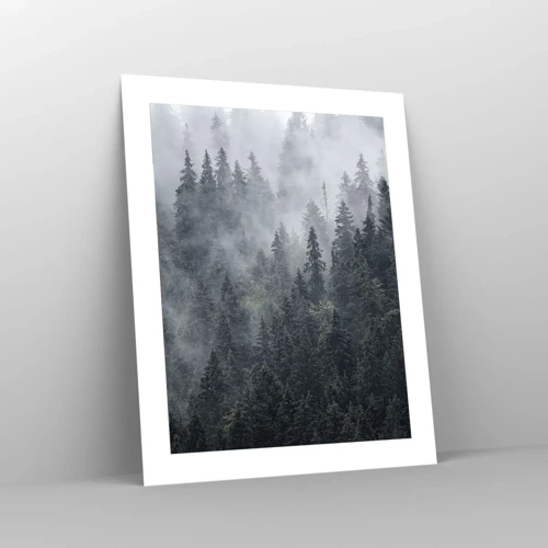 Plakat - Skovens daggry - 40x50 cm