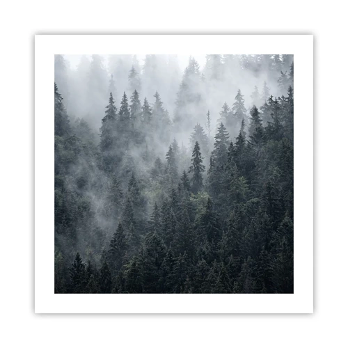 Plakat - Skovens daggry - 50x50 cm