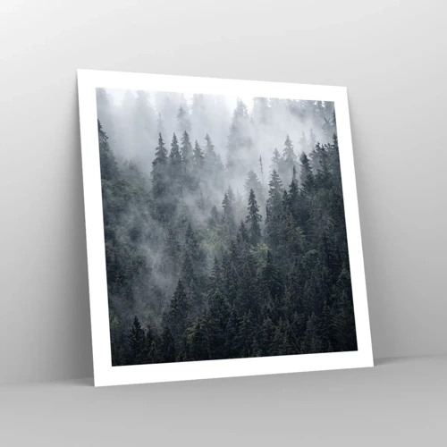 Plakat - Skovens daggry - 60x60 cm