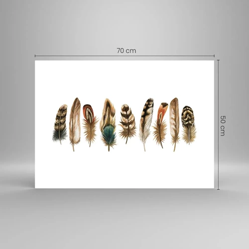Plakat - Variation med fjer - 70x50 cm
