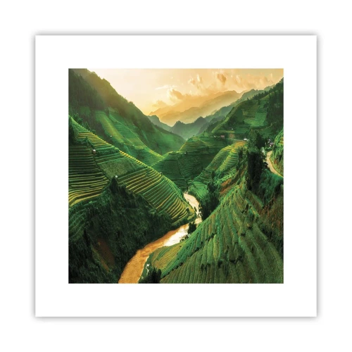 Plakat - Vietnamesisk dal - 30x30 cm