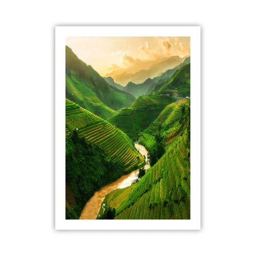 Plakat - Vietnamesisk dal - 50x70 cm