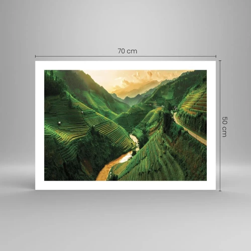 Plakat - Vietnamesisk dal - 70x50 cm