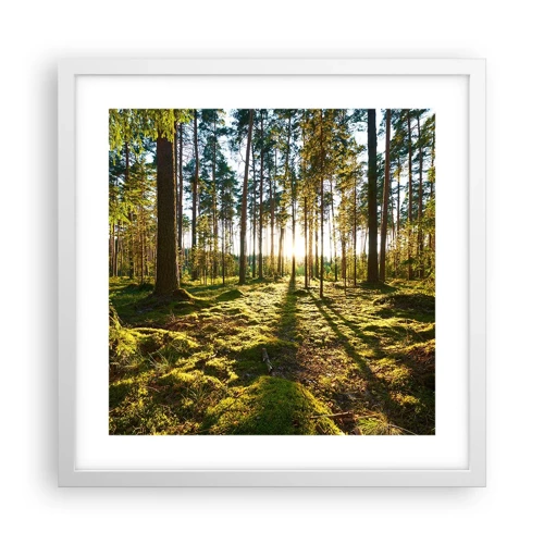 Plakat i hvid ramme - ...Bag de syv skove - 40x40 cm