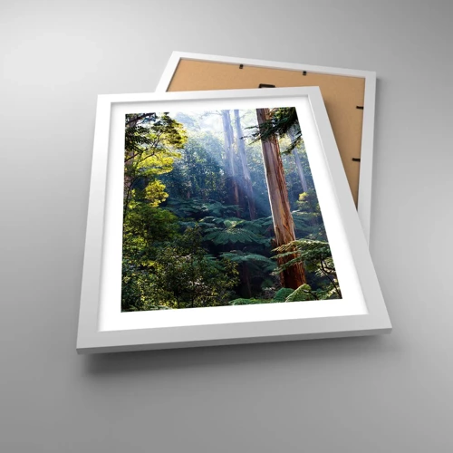 Plakat i hvid ramme - En fortælling om skoven - 30x40 cm