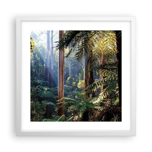 Plakat i hvid ramme - En fortælling om skoven - 40x40 cm