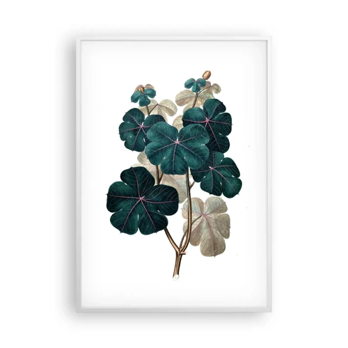 Plakat i hvid ramme - Fra et gammelt herbarium - 70x100 cm