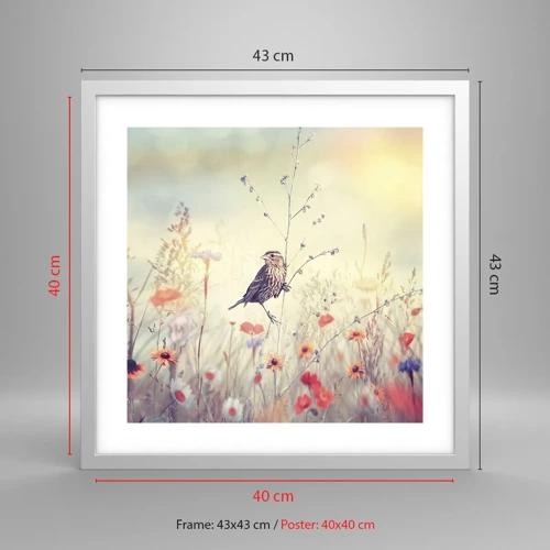 Plakat i hvid ramme - Fugleportræt med en eng i baggrunden - 40x40 cm
