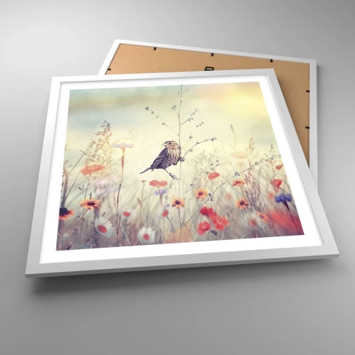 Plakat i hvid ramme - Fugleportræt med en eng i baggrunden - 50x50 cm