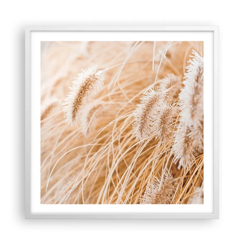 Plakat i hvid ramme - Gyldent susen af græsser - 60x60 cm