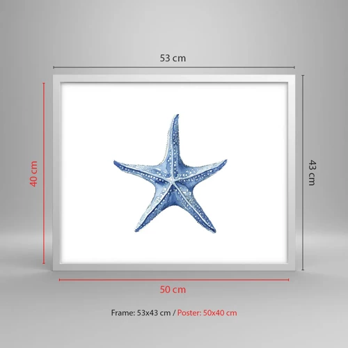 Plakat i hvid ramme - Havets stjerne - 50x40 cm