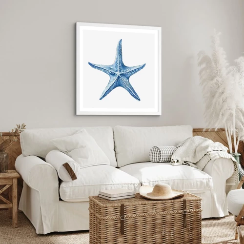 Plakat i hvid ramme - Havets stjerne - 60x60 cm