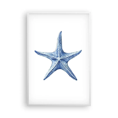 Plakat i hvid ramme - Havets stjerne - 61x91 cm