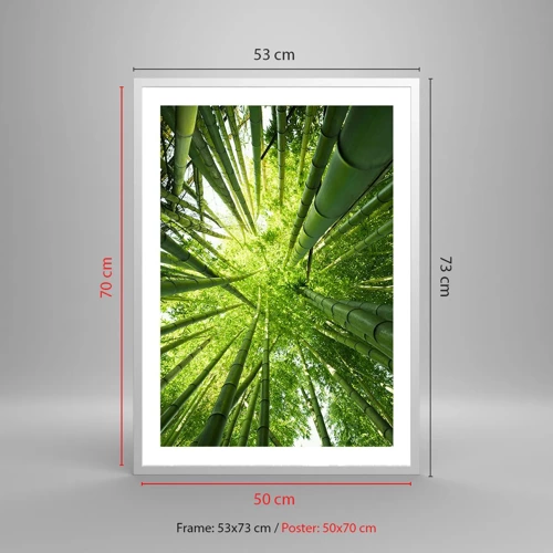 Plakat i hvid ramme - I en bambuslund - 50x70 cm