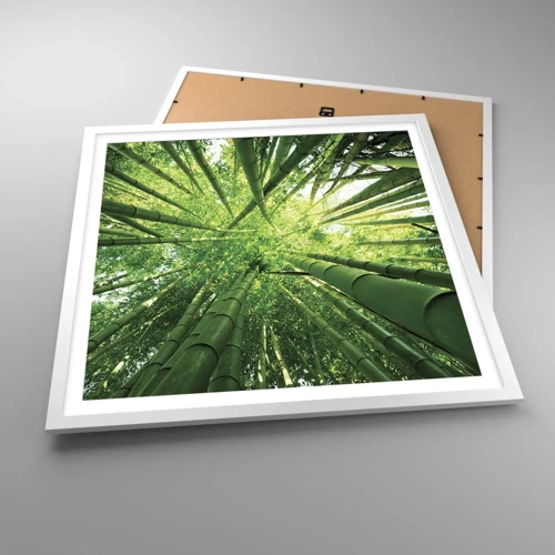 Plakat i hvid ramme - I en bambuslund - 60x60 cm