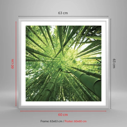 Plakat i hvid ramme - I en bambuslund - 60x60 cm