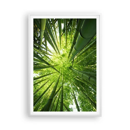 Plakat i hvid ramme - I en bambuslund - 70x100 cm