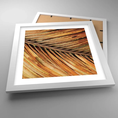Plakat i hvid ramme - Kokosnød guld - 30x30 cm
