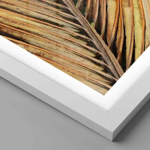 Plakat i hvid ramme - Kokosnød guld - 40x40 cm