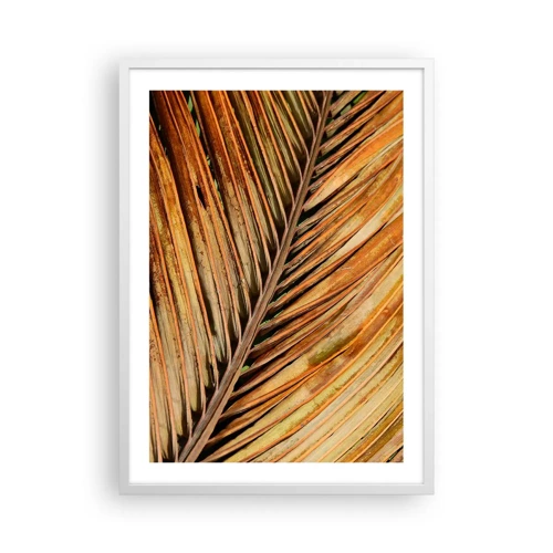 Plakat i hvid ramme - Kokosnød guld - 50x70 cm