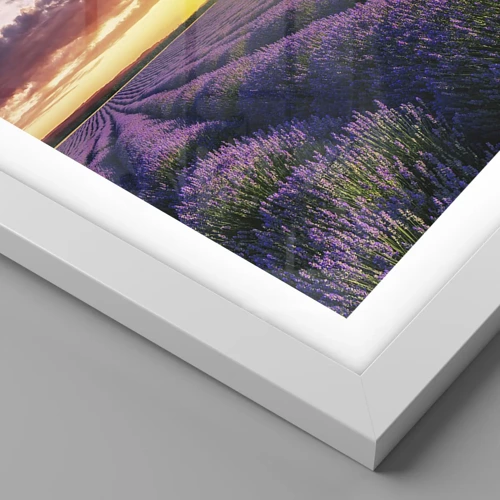 Plakat i hvid ramme - Lavendelverden - 40x50 cm