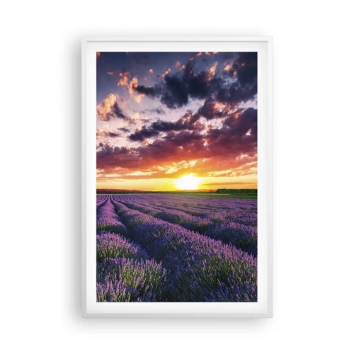 Plakat i hvid ramme - Lavendelverden - 61x91 cm